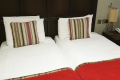 Twin beds in a twin room