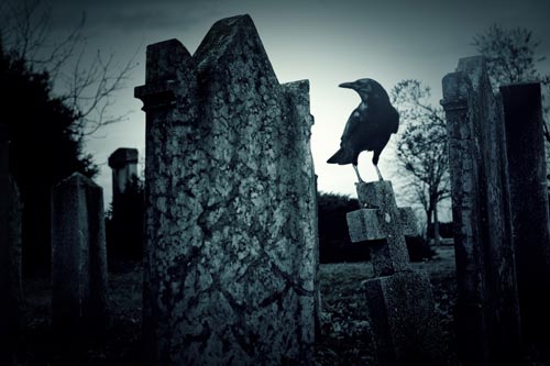 Grave stone with crow perched next to it