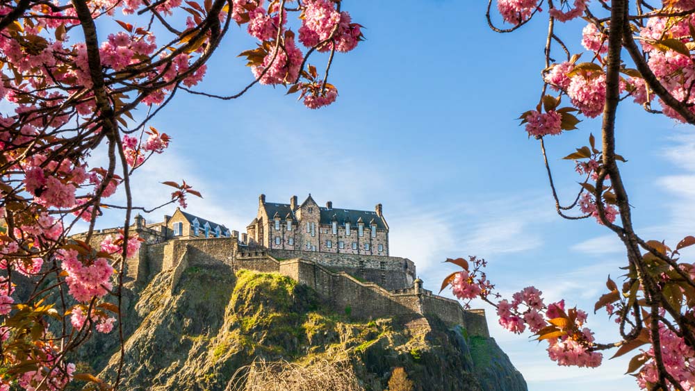 Edinburgh Castle in spring surrounded by cherry blossom and blue skies