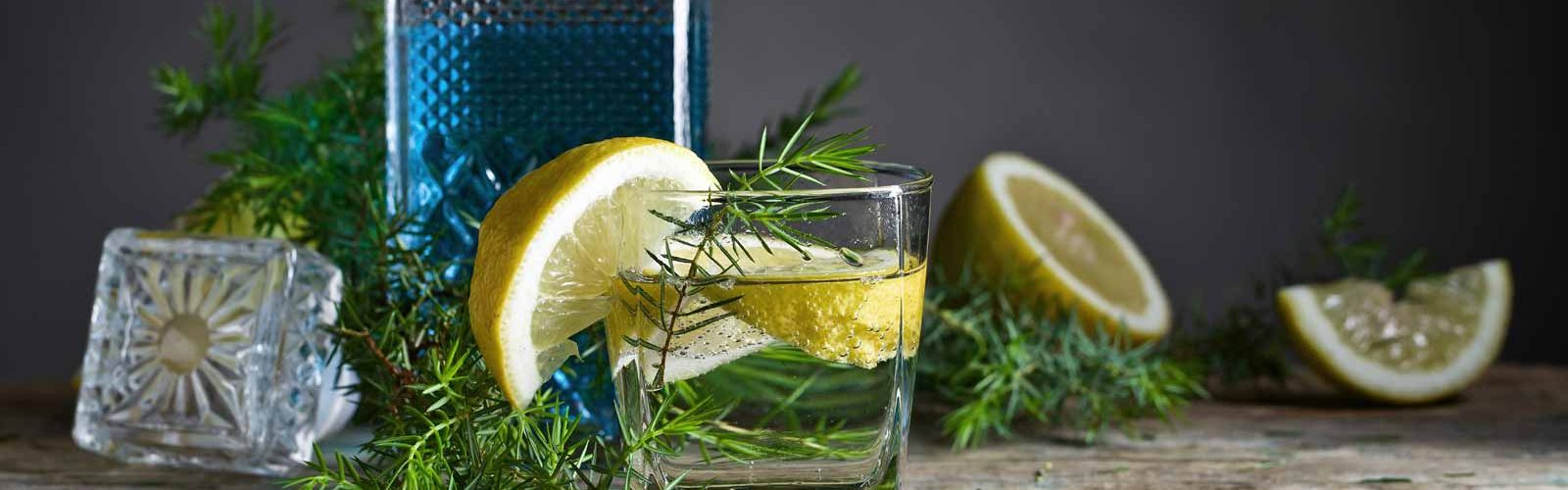 Gin and tonic with lemon