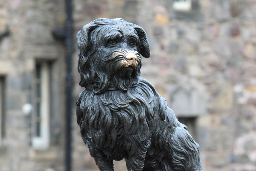 Greyfriars Bobby skye terrier dog statue in Edinburgh