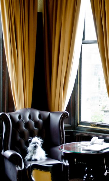 A leather wingback armchair in the Suite in Parliament House Hotel in Edinburgh