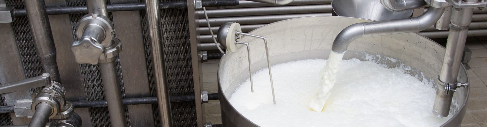 Milk being poured into a metal container in the milk processing process