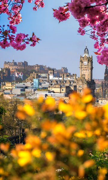 A view of Edinburgh City in Spring with spring flowers in bloom framing the view