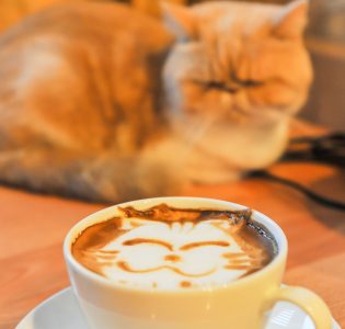A cat by a cup of coffee with the frothy milk and chocolate on top looking like a cat face