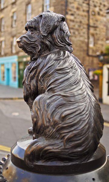 The statue of Greyfriars Bobby from behind
