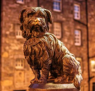 The statue at night time of Greyfriars Bobby in Edinburgh