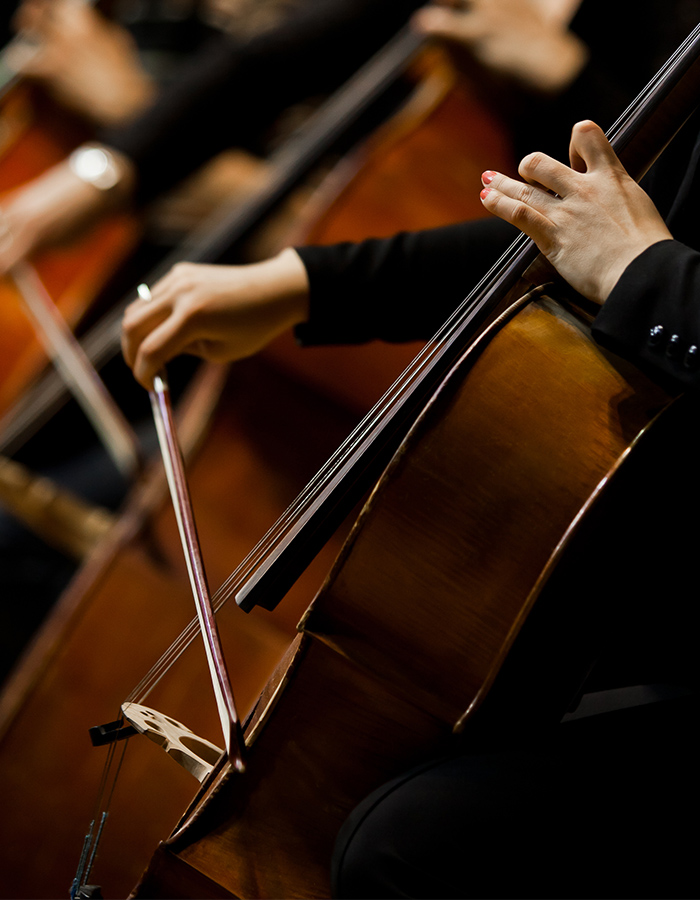 Cello players performing in an orchestra