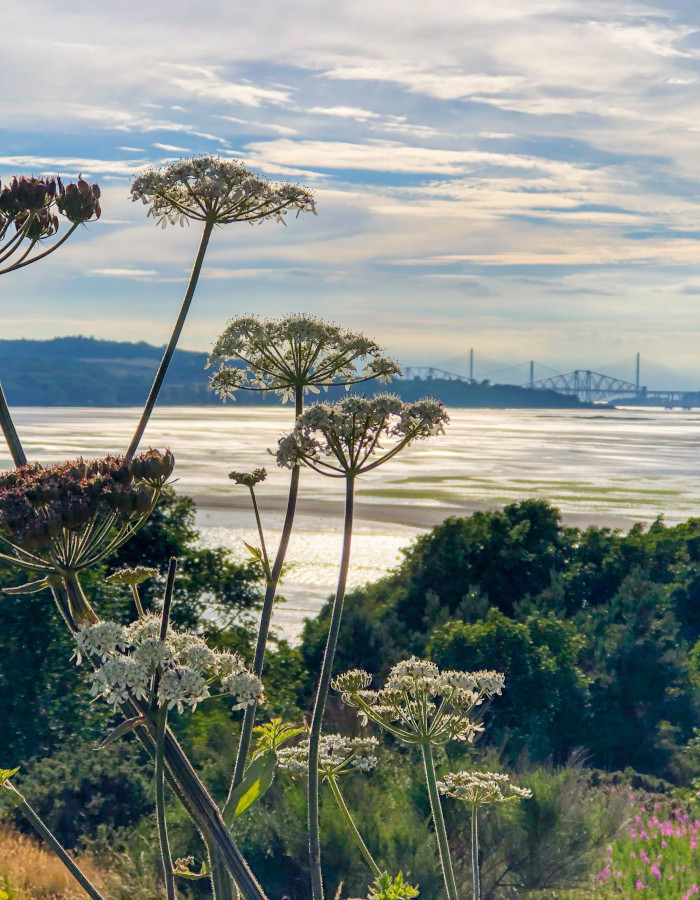 View of Firth of Forth from Cramond Island