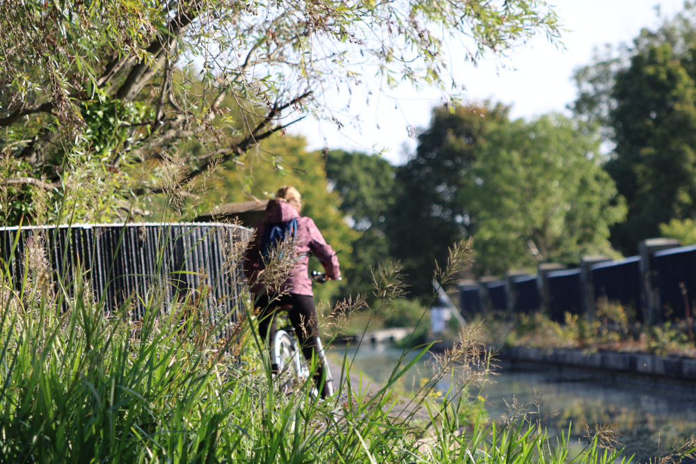 Woman behind tall grass cycling along the Union Canal in Edinburgh