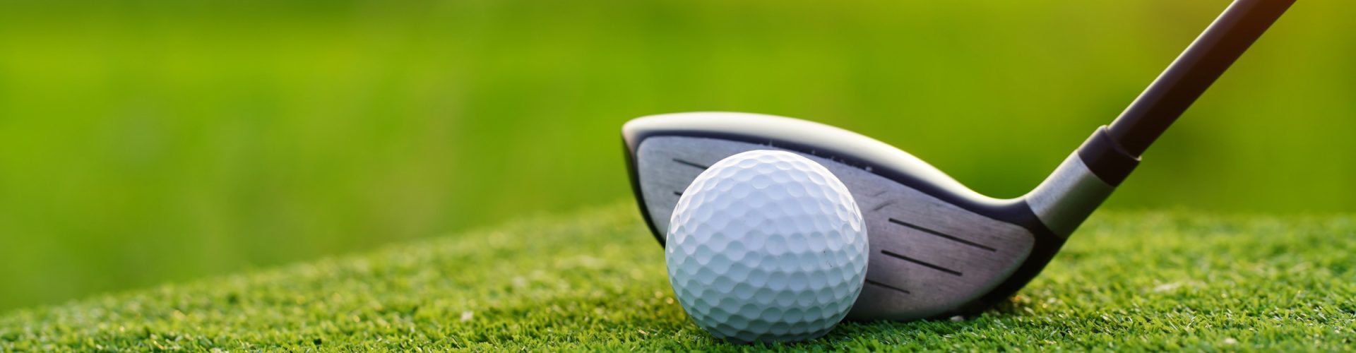 Close up of a golf club and ball on the green