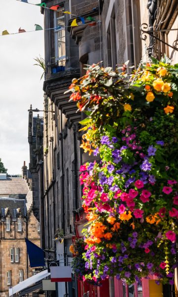 Colourful flowers in Edinburgh city centre